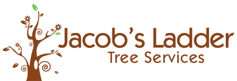 Jacobs Ladder Tree Services Adelaide